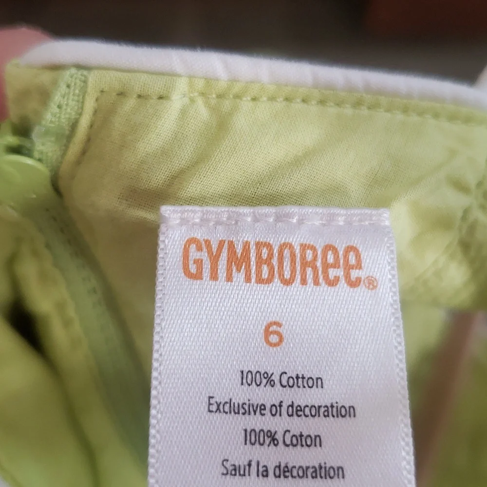 Gymboree Dress with Flowers detail
